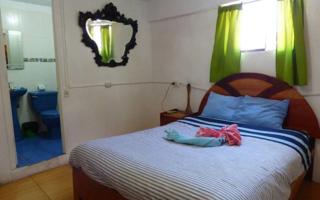 The Grasshopper Hostel