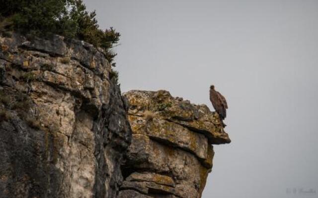 Gite Les Prades