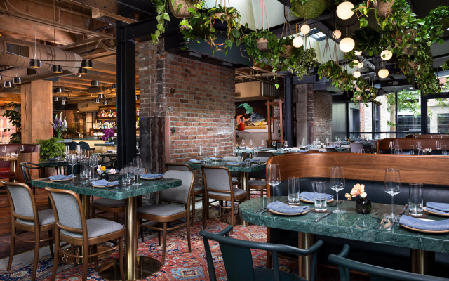 Populus Seattle