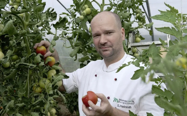 Mintrops Land Hotel Burgaltendorf