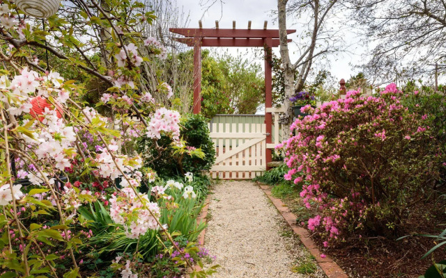 Shelton-Lea B&B