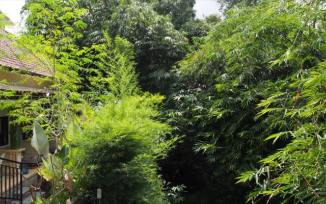 Green View Ubud Hostel Bali