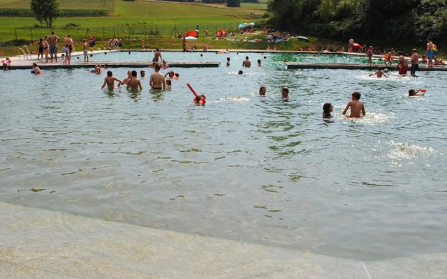 Cozy Apartment in Ruhmannsfelden With Swimming Pool