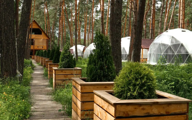 Роял Форест