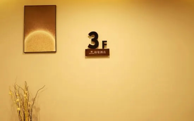 Borrman Hotel (Baise Tiandong Hengli Plaza)