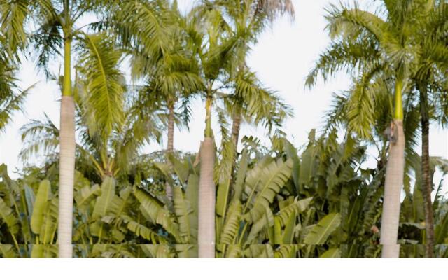 Pullman Resort Xishuangbanna