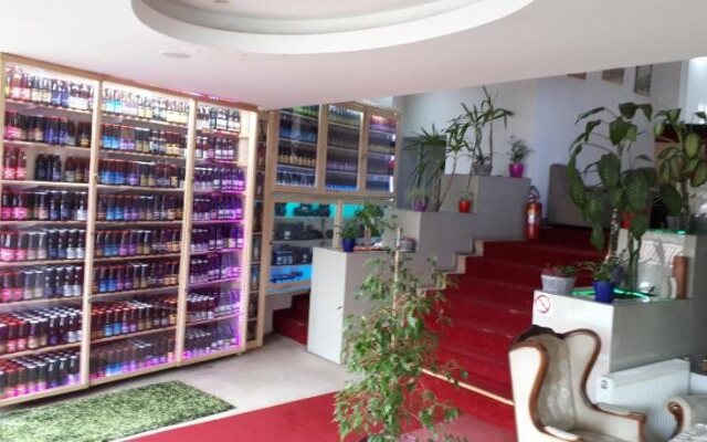 Hotel Alem