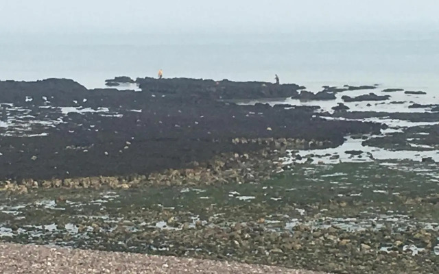 Les Mouettes, a Moins de 50 Metres de la Plage