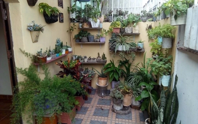 Patio De Joan