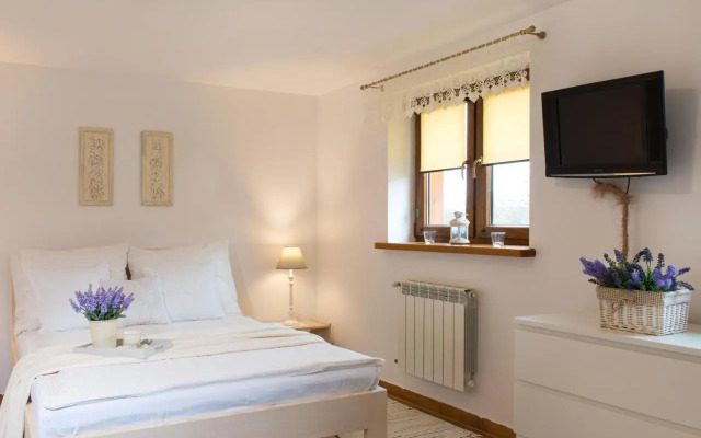 Pokoje Studia-Centrum