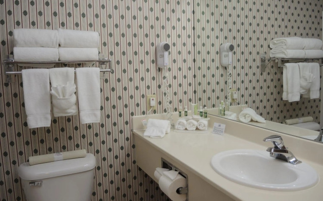 Evergreen Inn and Suites