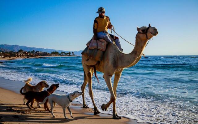 Habiba Beach Lodge