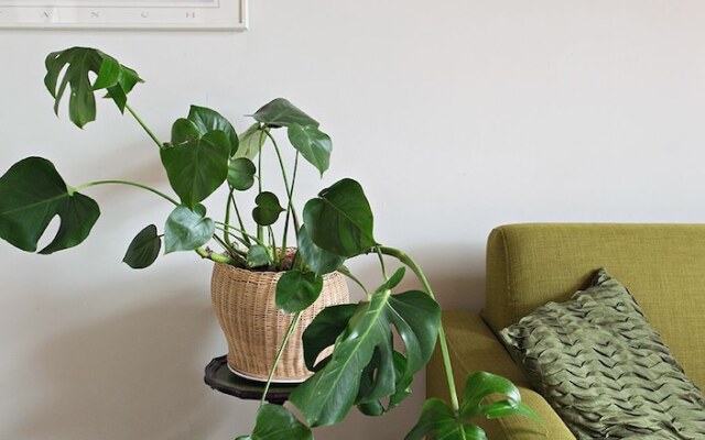 Brattagata Guesthouse Apartments