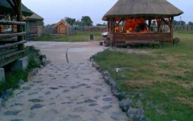 Pension Tado Letea