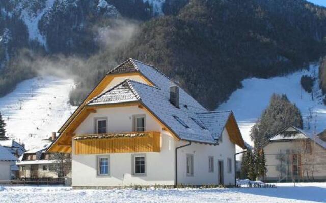 Apartmaji Mlinar