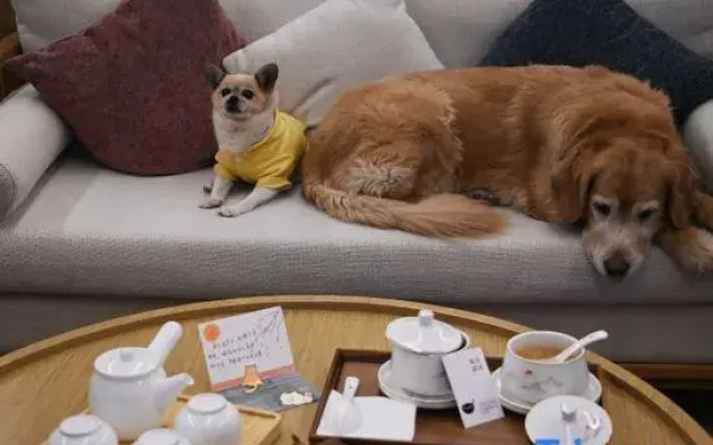 Blossom House Bazhong Enyang