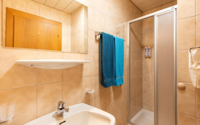 Great Apartment Near the ski Area