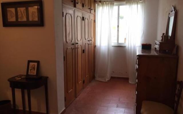 Orange Tree Villa