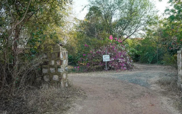 Mahua Tola Tadoba