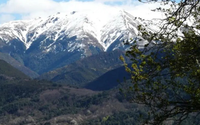 Mira Monte B&B and Homestay