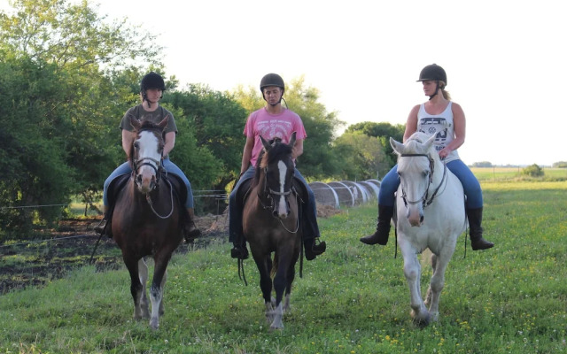 El Galope Horse Farm & Hostel