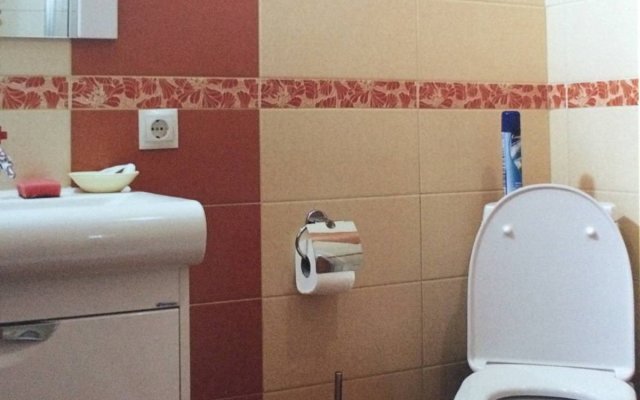 Anna and King (on Zheleznodorozhnoy)