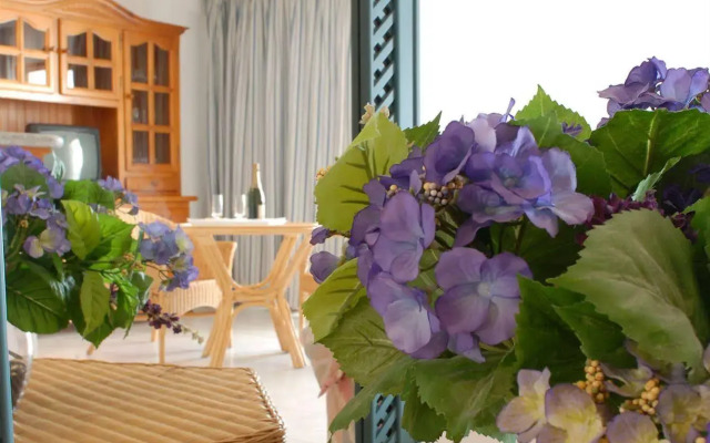 Apartamentos Playa Delphin