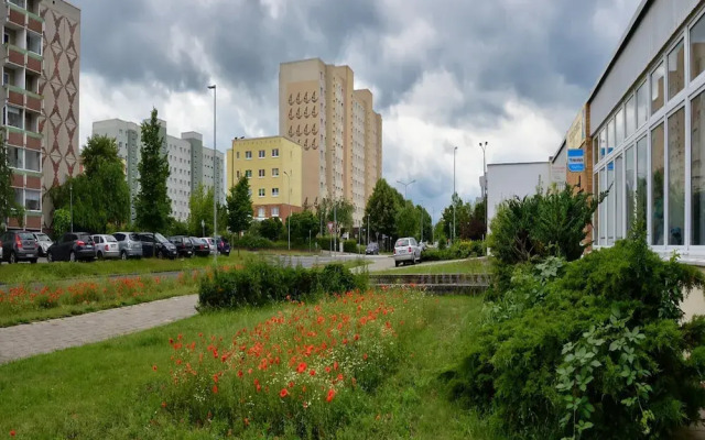 Doppelhaushalfte, Schonwalde