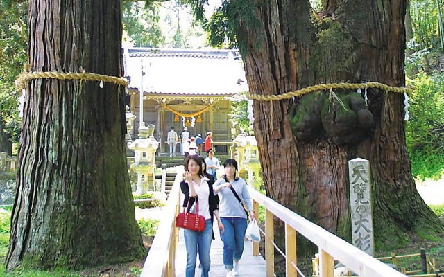 Ooedo Onsen Monogatari Premium Yoshinoya Irokuen