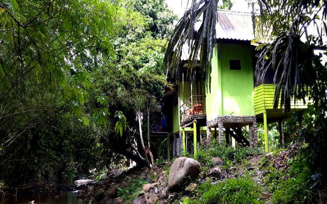 Tree Top River Huts