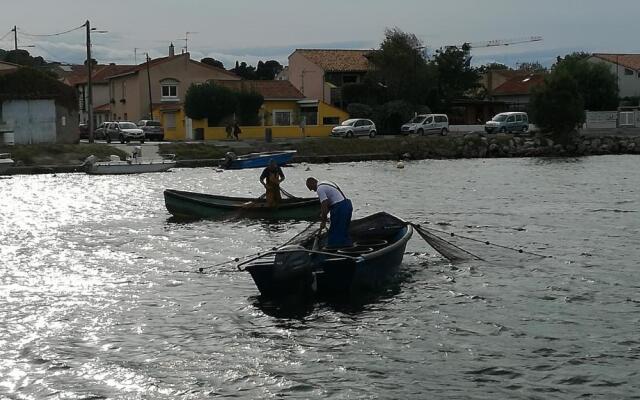 Charmant T2 face au Bassin du Midi