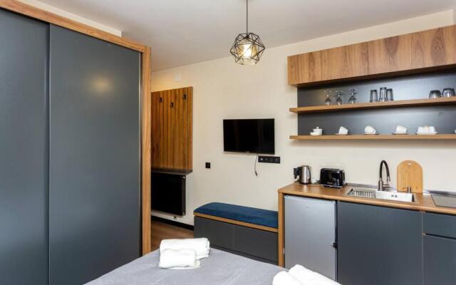 Cozy Studio Apartment in Marshall Gudauri Project