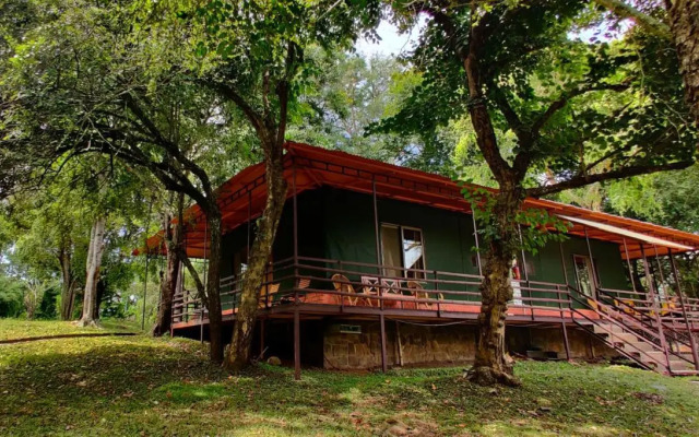 Jungle Hut Resorts