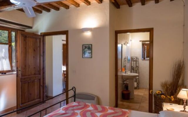 House Edera Campagnatico