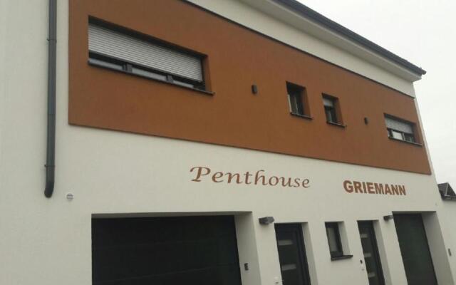 Penthouse Griemann 1 inkl Infrarotkabine und eigener Dachterrasse