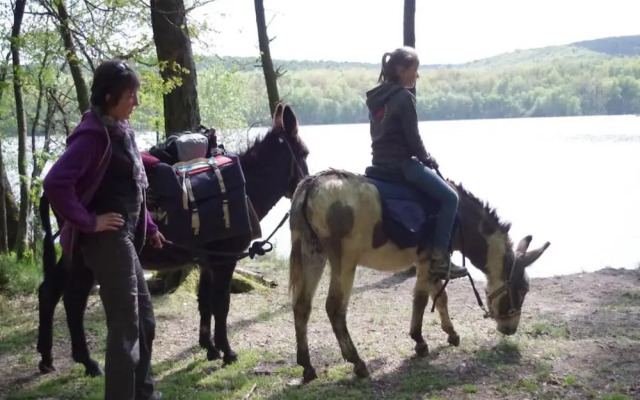 Charming Apartment in Ardennes