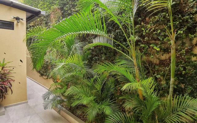 Apartamento habitación ejecutiva