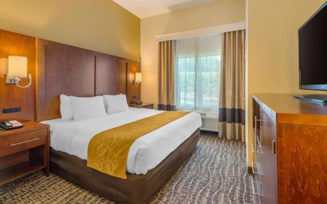 Comfort Suites Lady Lake - The Villages