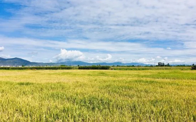 Dali Jianshan Homestay