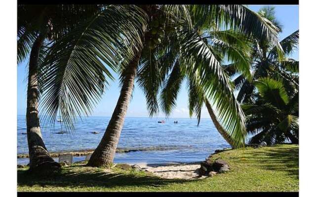 Fare Upu beach front cottage - Moorea