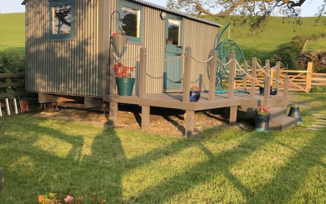 The Peacock Shepherds Hut at Hafoty Boeth