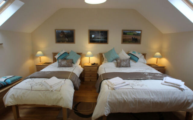 Holiday Home Helyg