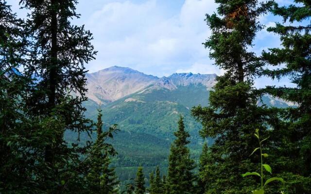 Denali Crow's Nest Cabins