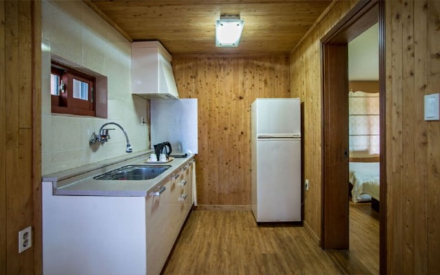 Witch's  broomstick Pension