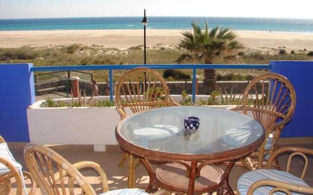 Livingtarifa - Tortugas