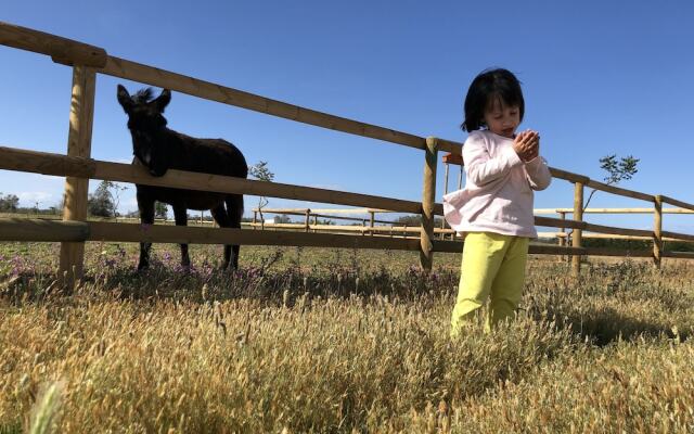 Agriturismo Masseria Galatea
