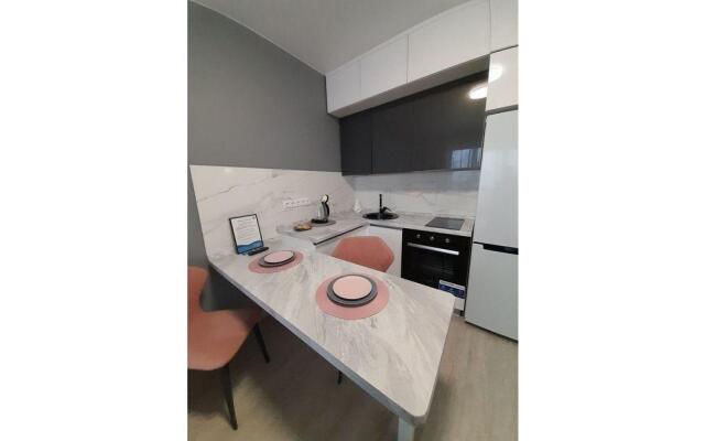 Апартаменты на улице Пискунова 148/5