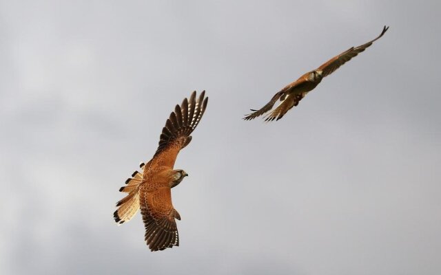 Stony Creek Farm Bed and Breakfast