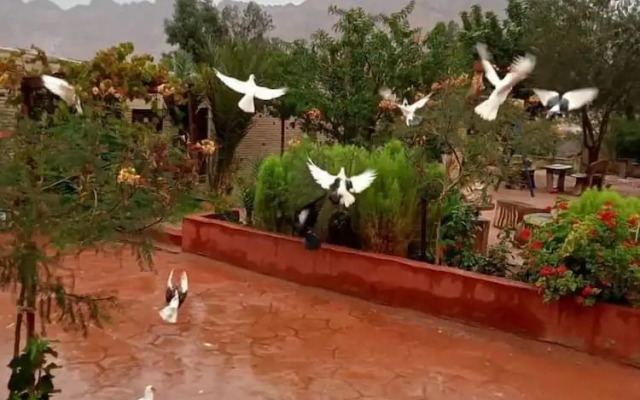 Masoudi Lodge