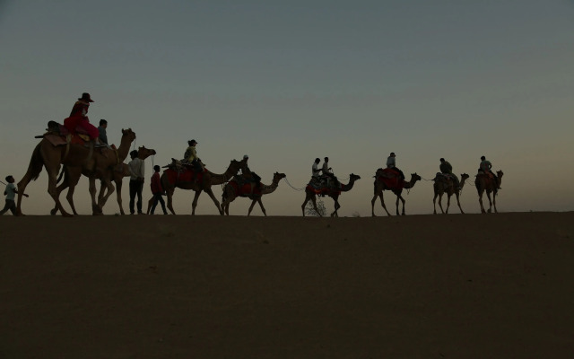 Treebo Desert Harmony Camp